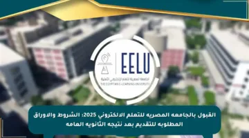 القبول بالجامعة المصرية للتعلم الإلكتروني 2025: الشروط والأوراق المطلوبة للتقديم بعد نتيجة الثانوية العامة